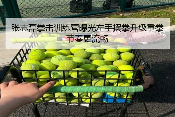 张志磊拳击训练营曝光左手摆拳升级重拳节奏更流畅 | Wanmei